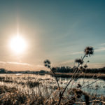 Why Landowners should consider ‘Voluntary Registration’